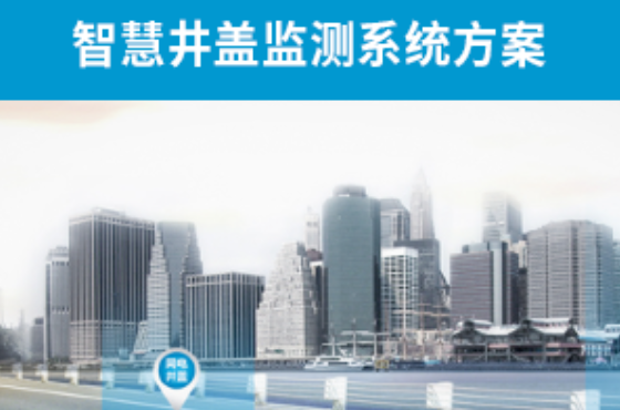 智慧（huì）井蓋監管服務係統